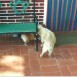 Blaky y Bob